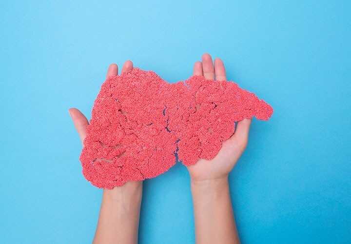 Hepatologia | Gastromed